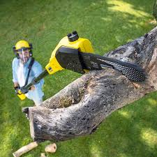 Best Organic Lawn Care Solutions  in Yeagertown, PA